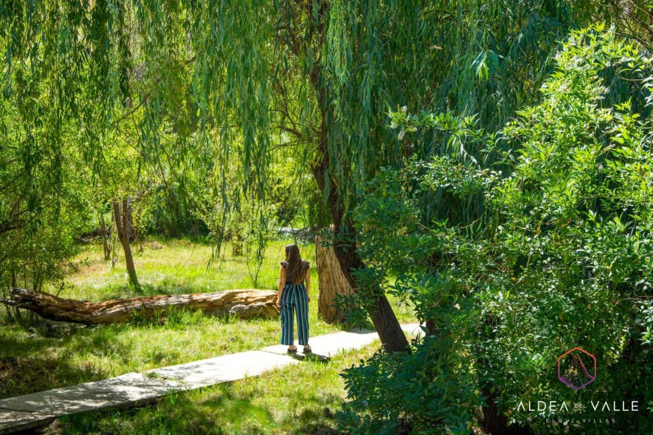 Aldea Del Valle - Elqui Villas, Pisco Elqui Zewnętrze zdjęcie