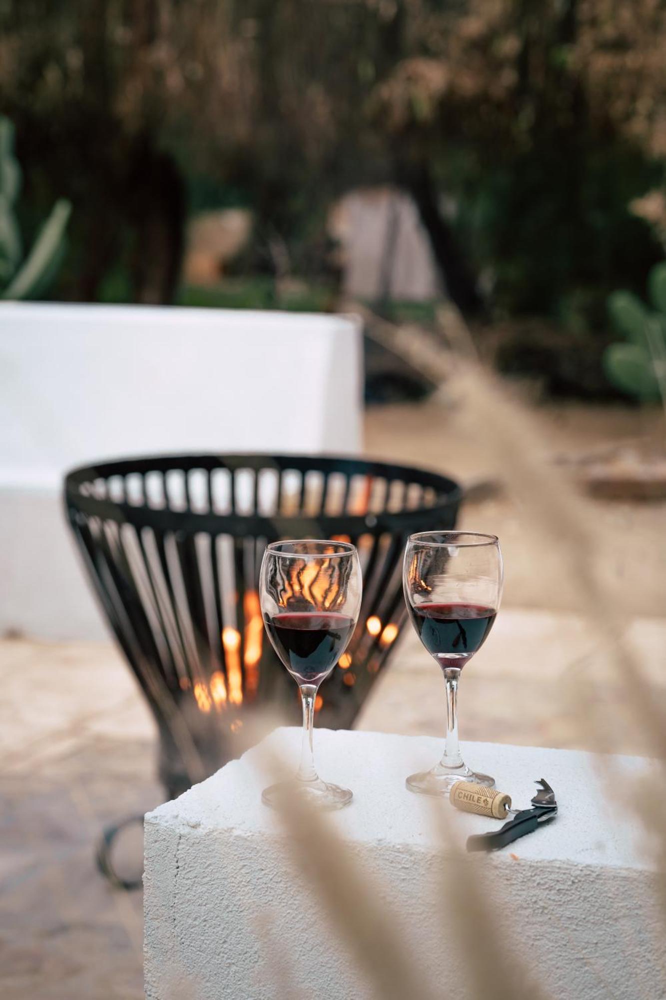 Aldea Del Valle - Elqui Villas, Pisco Elqui Zewnętrze zdjęcie
