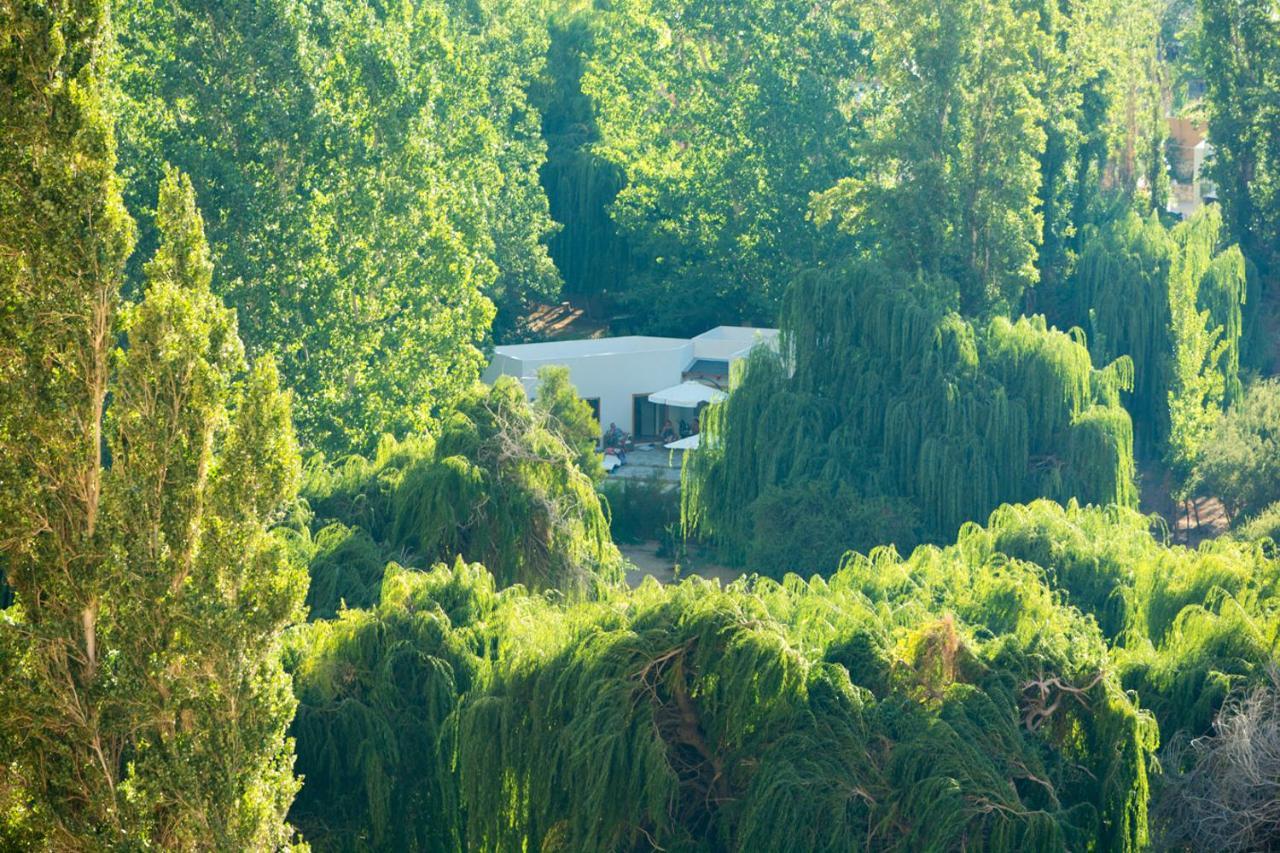 Aldea Del Valle - Elqui Villas, Pisco Elqui Zewnętrze zdjęcie